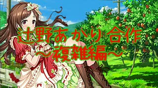 辻野あかり合作～複雑編～
