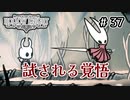 【実況】HOLLOW KNIGHT #37 王の刻印
