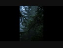 雨の日のファンタジア（木香薔薇と眠る）