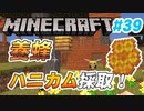 【Minecraft】初心者と一緒にのんびりマイクラ生活#39【女性２人実況】