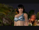 【DoaX3】イベントパラダイス ランダム/110700