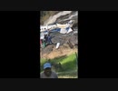 ブラジルの人気歌手が墜落事故で死亡　マリリア・メンドンサさんの死にネイマールもショック
