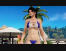 【DoaX3】op-ED集 紅葉/110706