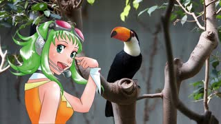 【GUMI】左利きになりたい