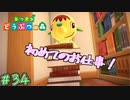 手抜きは一切ありませんでした　「あつまれどうぶつの森+ハピパラ」　＃34