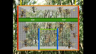 【むし太郎】ハチの大群に謎のスプレーぶっかけてスズメバチを捕まえるツッコミどころ満載のゲーム#05