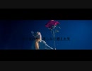 独り星のファンタジア / 初音ミク (芽白居那＆星宮スイ）