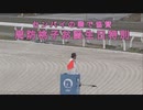 コメあり 高知競馬 周防桃子お誕生日特別