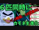 ネギガナイト、"６"匹同時に進化させてみた！！(ポケモン剣盾)【ゆっくり実況】