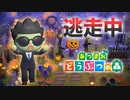 【あつ森】逃走中を森でやってみた ハロウィン編 inゆず島【実況】あつまれどうぶつの森