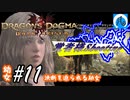 【ドラゴンズドグマ】幼女#11　決断を迫られる幼女【DDDA】【ならはや】