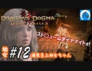 【ドラゴンズドグマ】幼女#12　爆発炎上幼女ちゃん【DDDA】【ならはや】