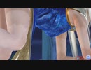 【DoaXvv】マリー/わんわん・女豹/旗袍・青龍/110805