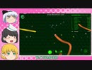 [ゆっくり実況]ゆっくり妖夢たちがワームを育てる[Wormax.io]