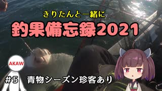 きりたんと一緒に釣果備忘録2021　＃5　青物シーズン珍客あり