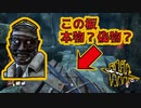 【DBD】偽板に翻弄されるドクター【デッドバイデイライト】