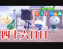 【実況】カメラの性能凄いなぁ【あつまれ どうぶつの森】四十六日目