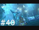 【FF10】これはひよこの物語 40【Steam版】