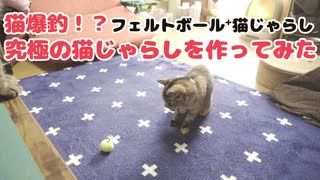 【D I Y】猫が大好きなフェルトボールを猫じゃらにしたらめちゃくちゃ遊ぶと思ったの…【猫の日常】