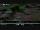 INSCRYPTION 初見プレイ #8