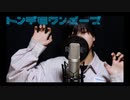 トンデモワンダーズ / 歌ってみた　【べびーかー。】