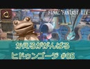 【ゆっくり実況】かえるががんばるヒドゥンゴージ #05【FF14】