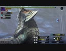 やっぱりぶっぱは大事だな　MHXX