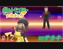 【Let's Go!ピカチュウ/イーブイ　実況】ポケモン図鑑151匹全制覇の旅【ポケモンピカブイ#12】
