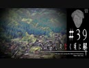『雛見沢症候群』のすべて【ひぐらしのなく頃に-皆殺し編-初見実況part39】