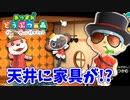 【あつまれ どうぶつの森 ハッピーホームパラダイス実況】別荘？？OK！任せて！！part6