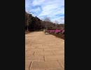 わがままボディーの猫は健やかに余生を過ごす#Shorts【野良猫】【感動猫】