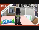 【sims4】獣医チャレンジ  #34【ゆっくり実況プレイ】