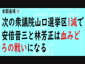 第429回『次の衆議院山口選挙区1減で安倍晋三と林芳正は血みどろの戦いになる』【水間条項TV会員動画】