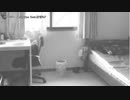 【ニコカラ】ソリロキー【offvocal】
