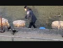 【自転車】宇治・伏見をぶらぶら 2【外配信】コメント付　9/19