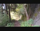 【高尾】マリウスより愛を込めて高尾山の様子ミニク②