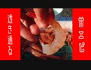 羽幌町で「透き通る身の甘海老」を料理してやるぜ！