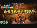 金ぴかなら何でもいいでしょ　「あつまれどうぶつの森+ハピパラ」　＃36