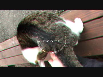 金鉄宰相「モンスーン」【MUSIC VIDEO】