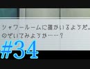 【実況】グノーシアをロールプレイ#34