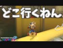 【不運系実況者】ミラーと200ccに嫌われているんだ【マリオカート８DX】