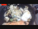 3時間横になったものの深い眠りにつけず　とりあえず朝飯