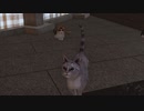 [ロストジャッジメント]第11回(11-2) ３匹目の猫