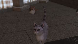 [ロストジャッジメント]第11回(11-2) ３匹目の猫