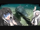 【CoeFont実況】悪夢！さめサメ鮫シャーク！の巻【Shark Attack Deathmatch2】