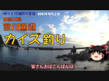 カイズ狙い【2021年10月上旬】