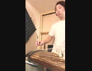 【Lemon cover/米津玄師】和楽器で演奏してみた　#Shorts