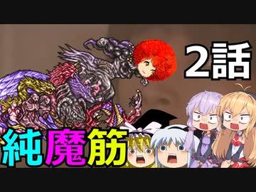 だって純魔よどうしよう筋力は無いんス2話【ゆっくり+VOICEROID実況プレイ】