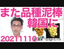 日本の高級葡萄品種「ほろよい」中国人が苗木を盗んで韓国農家が無断栽培、そろそろ農家は自衛策を20211110
