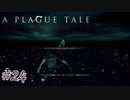 決別#24【A Plague Tale: Innocence】